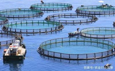 水產養殖迎來大考 國家定調綠色養殖，水產品養殖業轉型升級