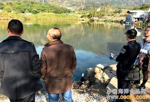 廈門集美雙嶺村養(yǎng)殖場(chǎng)迎節(jié)前“安全體檢”，筑牢水產(chǎn)品安全防線